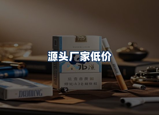 专业团队办公环境